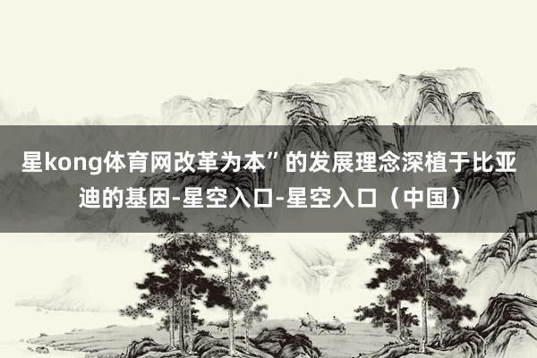 星kong体育网改革为本”的发展理念深植于比亚迪的基因-星空入口-星空入口（中国）