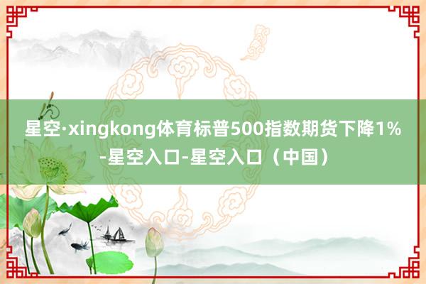 星空·xingkong体育标普500指数期货下降1%-星空入口-星空入口（中国）